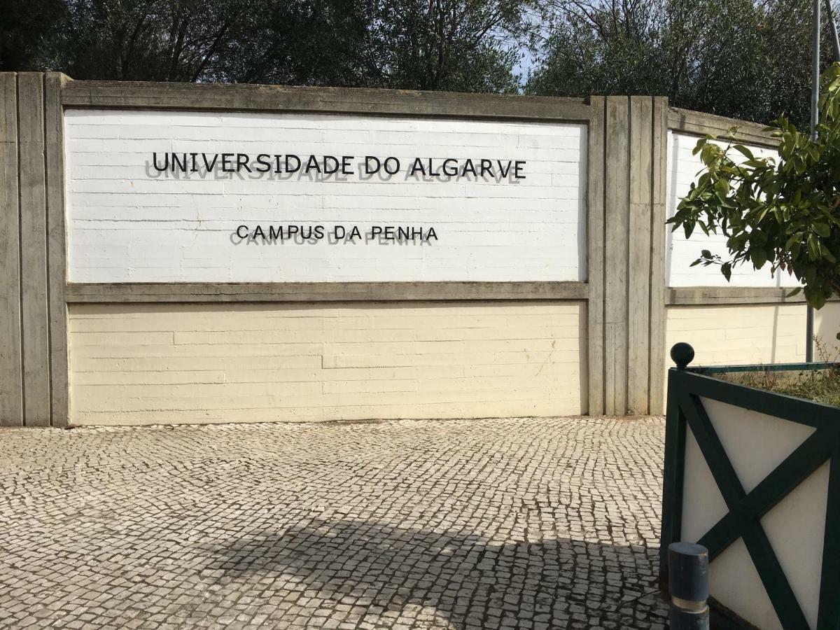 法鲁区Casa Do Marinheiro公寓 外观 照片